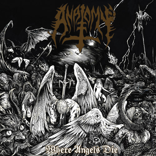 anatomy where angels die cover